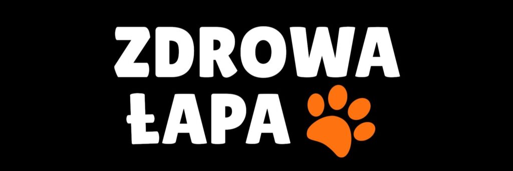 cropped logonowe.jpg