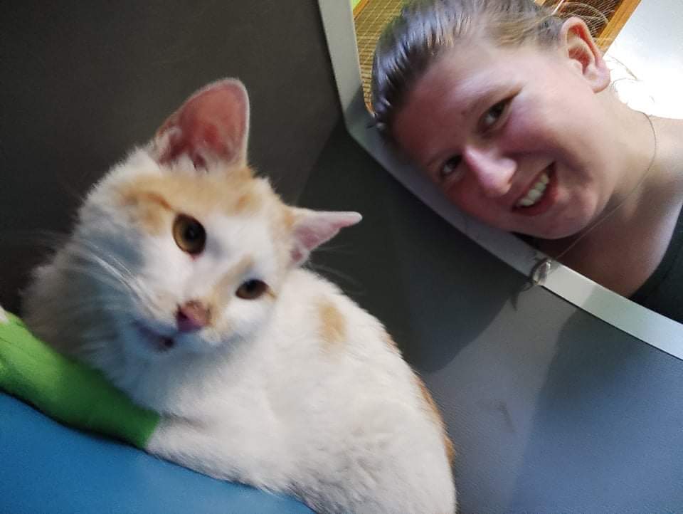 received 1260321491073168